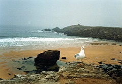 1996 - Bretagne 05 (Bretagne)